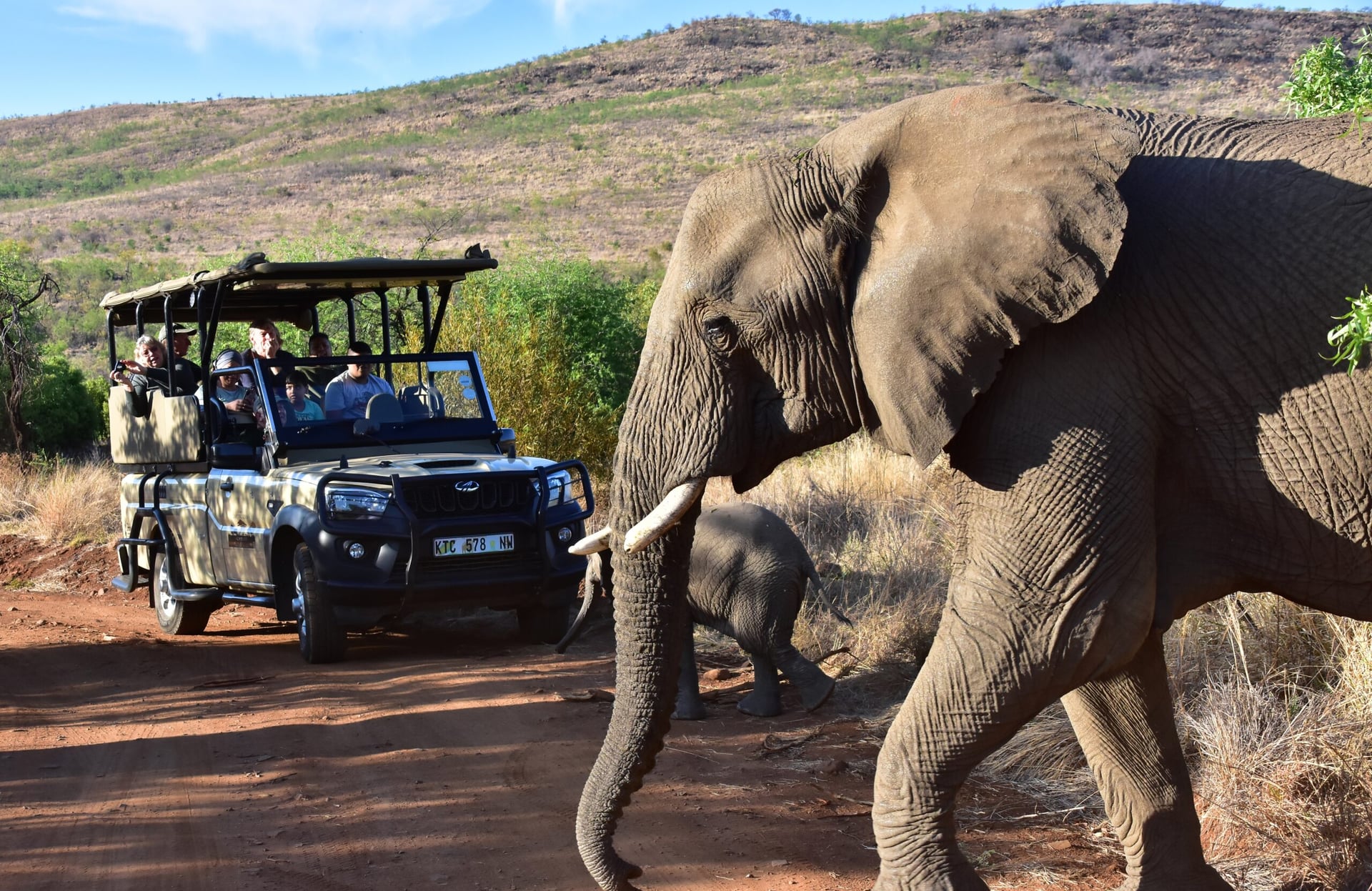 Mankwe Game Trackers safari from Harties