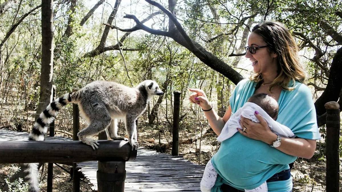 Monkey Sanctuary Hartbeespoort in the Magaliesberg