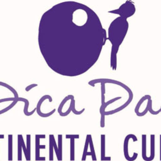 PICA PAU logo